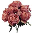 Picture for category Flower Bushes £3 plus (Bulk Price)