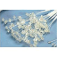 Picture of CRYSTAL SPRAY CLEAR BUNCH OF 12