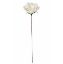 Picture of PLASTIC OPEN ROSE X 100 WHITE