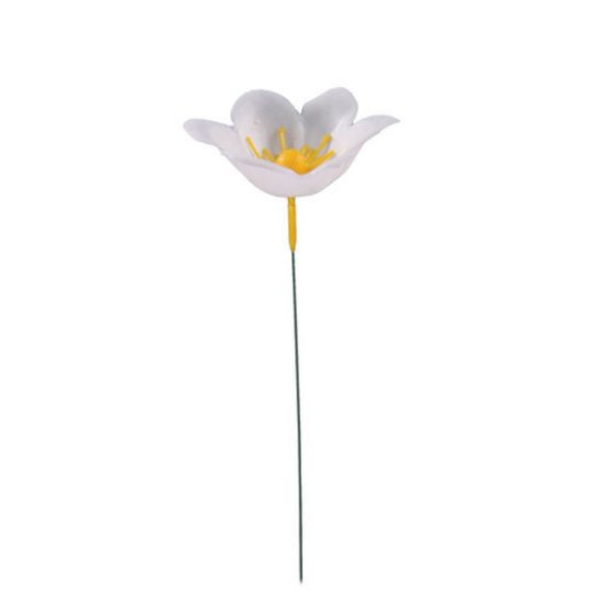 Picture of PLASTIC CHRISTMAS ROSE X 200 WHITE