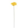 Picture of SINGLE GERBERA 21 INCH YELLOW