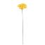 Picture of SINGLE GERBERA 21 INCH YELLOW