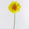 Picture of SINGLE GERBERA 21 INCH YELLOW