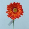 Picture of SINGLE GERBERA 21 INCH ORANGE