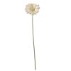 Picture of SINGLE GERBERA 21 INCH CREAM