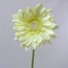 Picture of SINGLE GERBERA 21 INCH CREAM