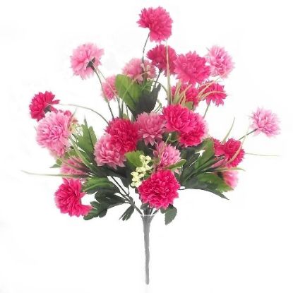 Picture of CHRYSANTHEMUM BUSH LIGHT PINK/PINK