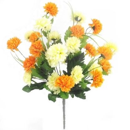 Picture of CHRYSANTHEMUM BUSH CREAM AND ORANGE