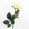 Picture of SINGLE SWEET OPEN ROSE WHITE