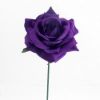 Picture of CURVE ROSE CAD PURPLE X 48pcs