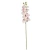 Picture of 106cm JAPANESE ORCHID SPRAY CREAM