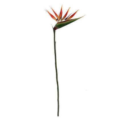 Picture of 90cm BIRD OF PARADISE ORANGE