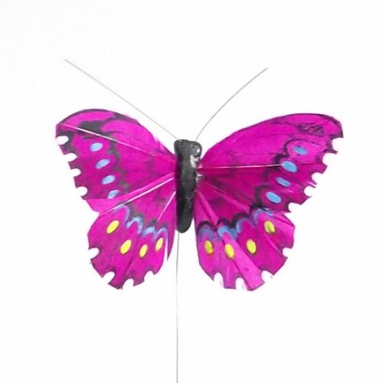 Picture of 7cm FEATHER BUTTERFLY ON 20cm WIRE HOT PINK X 12pcs