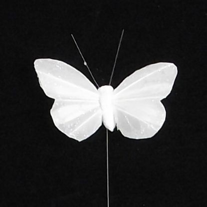 Picture of 7cm FEATHER BUTTERFLY ON 20cm WIRE IVORY X 12pcs