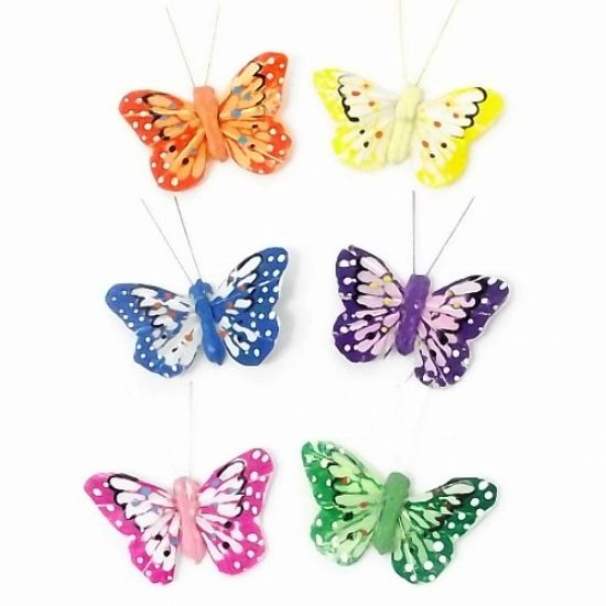 Picture of 5cm FEATHER BUTTERFLY ON 20cm WIRE ASSORTED X 24pcs