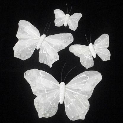Picture of 5cm FEATHER BUTTERFLY ON 20cm WIRE IVORY X 24pcs