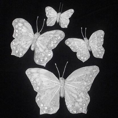 Picture of 5cm FEATHER BUTTERFLY ON 20cm WIRE IVORY/SILVER X 24pcs