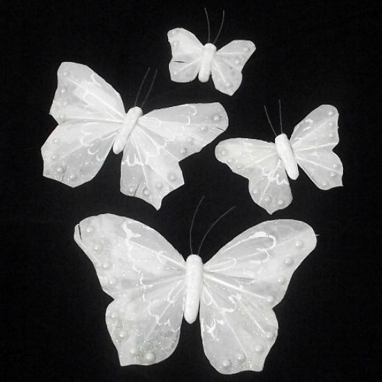 Picture of 12cm FEATHER BUTTERFLY ON CROCODILE CLIP IVORY X 12pcs