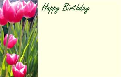 Picture of GREETING CARDS X 50 HAPPY BIRTHDAY - TULIPS PINK