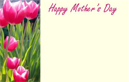 Picture of GREETING CARDS X 50 HAPPY MOTHERS DAY - TULIPS PINK