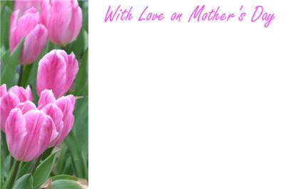 Picture of GREETING CARDS X 50 WITH LOVE ON MOTHERS DAY - TULIPS PINK