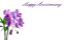 Picture of GREETING CARDS X 50 HAPPY ANNIVERSARY - ORCHID LILAC