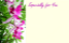 Picture of GREETING CARDS X 50 ESPECIALLY FOR YOU - ORCHIDS PINK