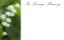 Picture of GREETING CARDS X 50 IN LOVING MEMORY - LILY OF THE VALLEY WHITE