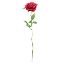 Picture of 68cm CHLOE ELEGANCE ROSE STEM BEAUTY