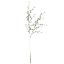 Picture of 70cm MINI DAISY SPRAY IVORY