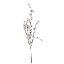 Picture of 96cm CHERRY BLOSSOM SPRAY IVORY
