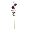 Picture of 84cm LISIANTHUS (EUSTOMA) SPRAY PURPLE