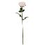 Picture of 68cm CHLOE ELEGANCE ROSE STEM IVORY
