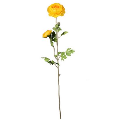 Picture of 70cm RANUNCULUS SPRAY YELLOW