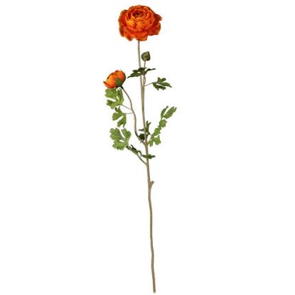 Picture of 70cm RANUNCULUS SPRAY ORANGE