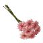 Picture of 47cm MINI GERBERA BUNDLE (7 STEMS) LIGHT PINK