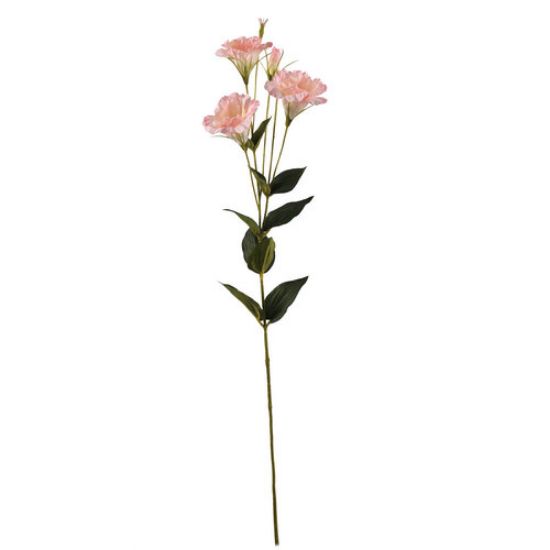 Picture of 87cm LISIANTHUS (EUSTOMA) SPRAY LIGHT PINK