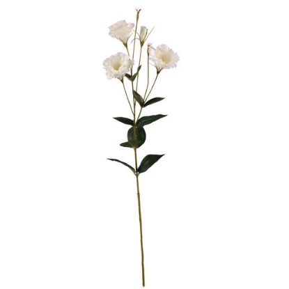 Picture of 87cm LISIANTHUS (EUSTOMA) SPRAY IVORY