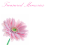 Picture of LARGE GREETING CARDS X 12 TREASURED MEMORIES - PINK GERBERA