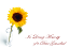 Picture of LARGE GREETING CARDS X 12 IN LOVING MEMORY OF A DEAR GRANDAD - SUNFLOWER