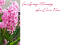 Picture of LARGE GREETING CARDS X 12 IN LOVING MEMORY OF A DEAR NAN - HYACINTH PINK