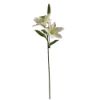 Picture of 66cm LILY SPRAY IVORY X 12pcs