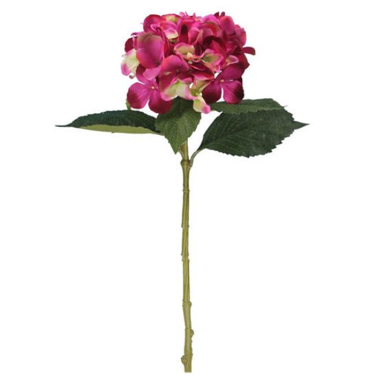 Picture of 51cm SINGLE LARGE HYDRANGEA BEAUTY