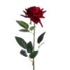 Picture of 72cm VELVET EMPEROR ROSE STEM DARK RED