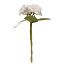 Picture of 33cm SINGLE SMALL HYDRANGEA IVORY
