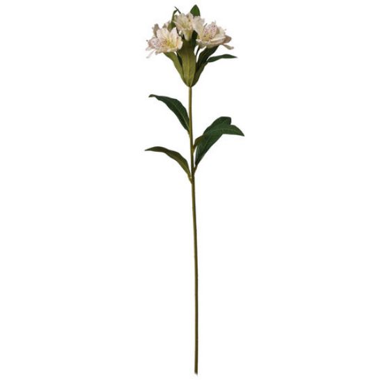 Picture of 82cm ALSTROEMERIA SPRAY IVORY