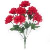 Picture of CHRYSANTHEMUM BUSH (8 HEADS) ASSORTED X 36pcs