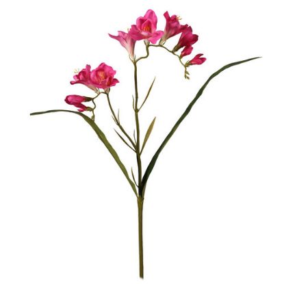 Picture of 56cm FREESIA SPRAY FUCHSIA