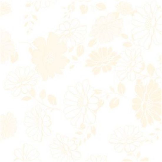 Picture of CELLOPHANE ROLL 80cm X 100met KATIE CREAM