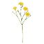 Picture of 62cm CARNATION SPRAY YELLOW